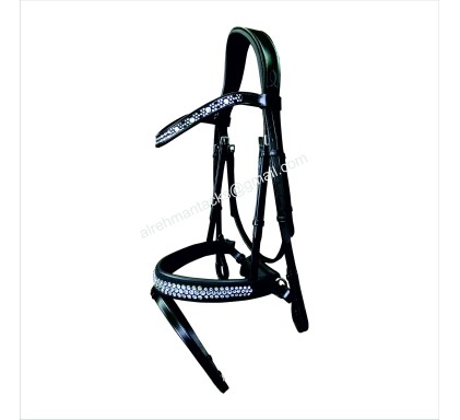 Leather Bridle 